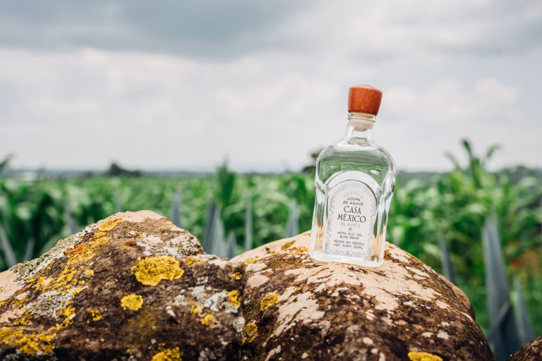 Different Types of Tequila