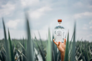 Hand holding a bottle of Casa Mexico Blanco Tequila