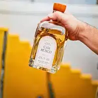 Home 11 Hand holding a bottle of Casa Mexico Anejo Tequila