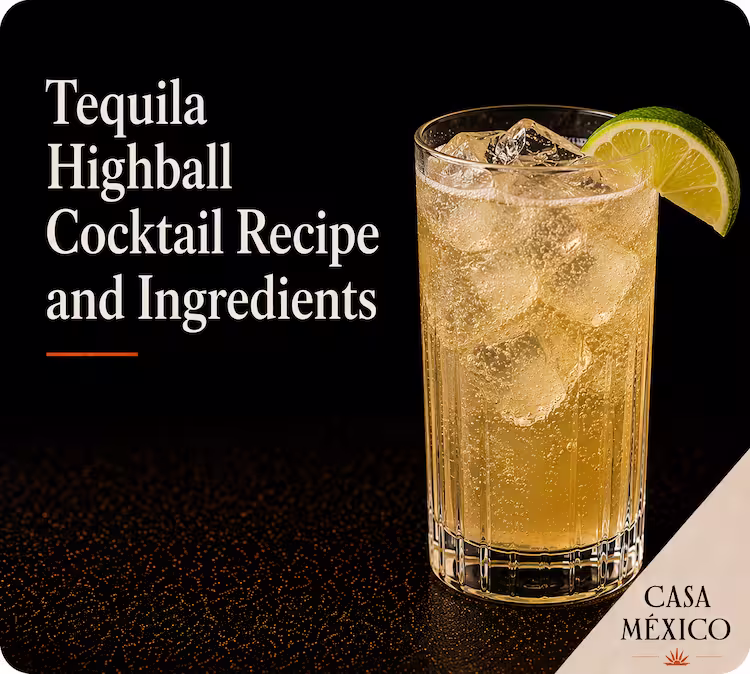Tequila Highball Cocktail Recipe and Ingredients