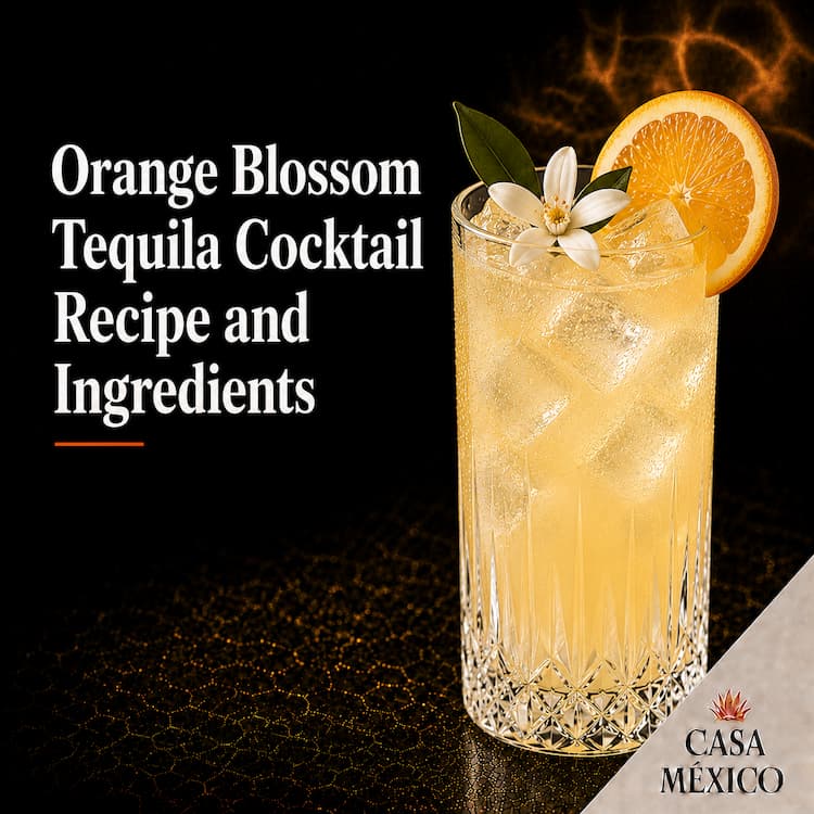 Orange Blossom Tequila Cocktail Recipe and Ingredients