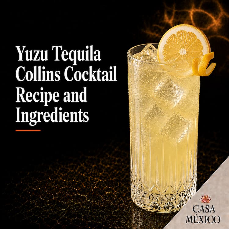 Yuzu Tequila Collins Cocktail Recipe and Ingredients
