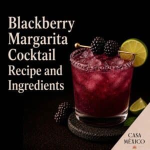 Blackberry Margarita Cocktail Recipe and Ingredients