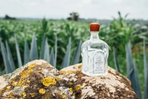 Casa México tequila bottle in a blue agave field, representing a lower calorie spirit choice for weight conscious drinkers