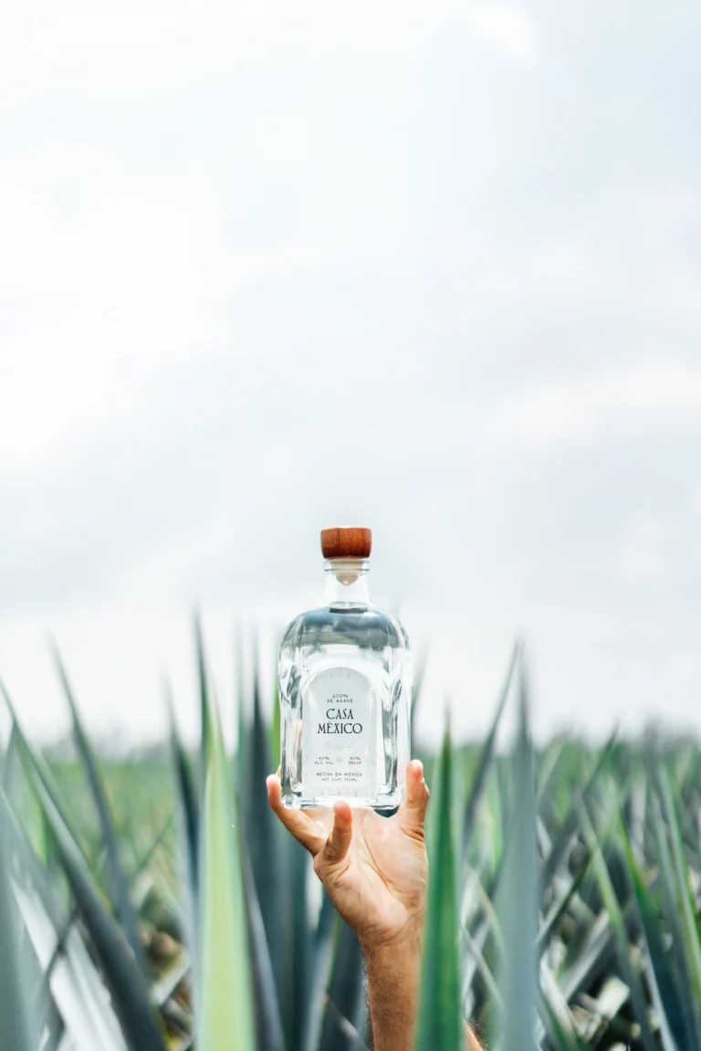Clear Casa México Blanco tequila bottle held up among blue agave leaves against a soft sky