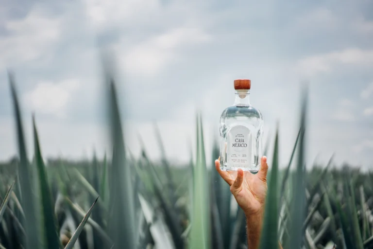 Casa México Blanco tequila bottle in front of a blue agave field, representing pure distilled tequila with zero carbs