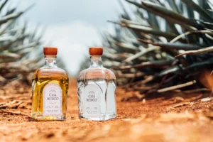Casa México tequila bottles standing together with wooden stoppers, showing tequila as a distilled agave liquor