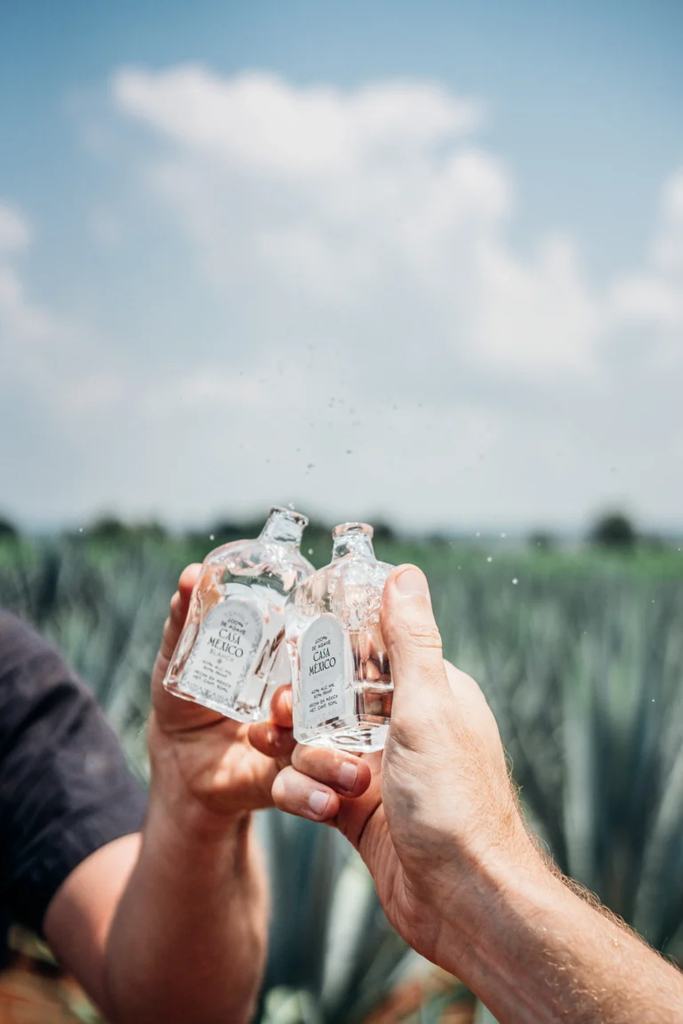 Two Casa México Blanco tequila 50ml bottles clinked together in a toast with droplets in the air above a blue agave field